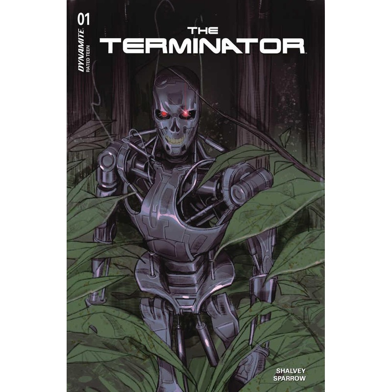 Terminator #1 Cover C Sway