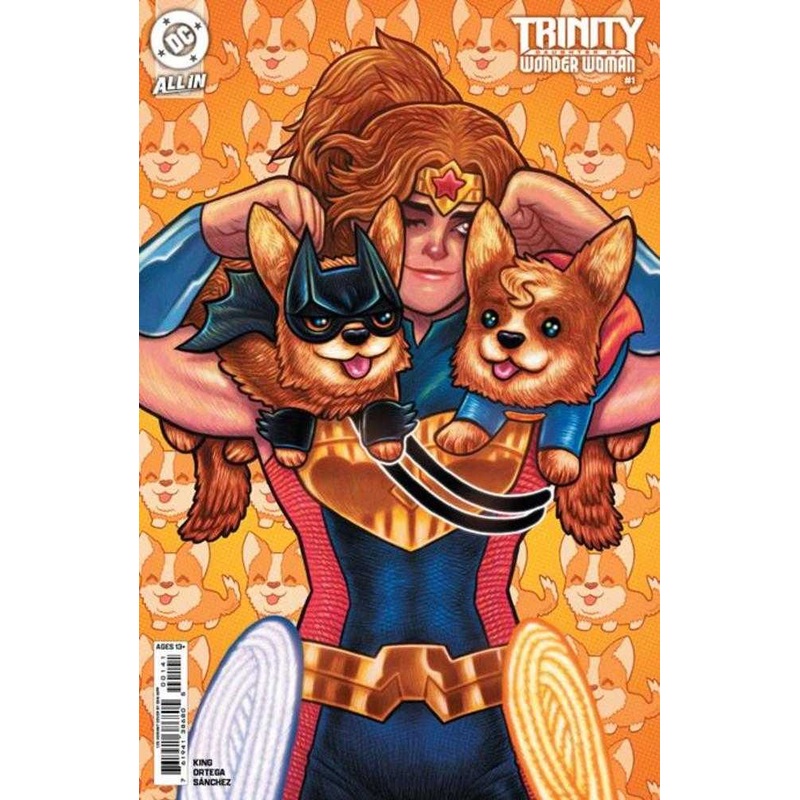 Trinity Daughter Of Wonder Woman #1 (Of 6) Cover G 1:25 Dan Hipp Card Stock Variant