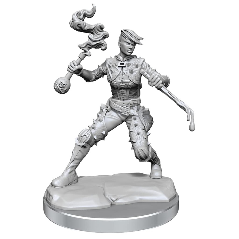 D&D Frameworks: Human Rogue Female – Unpainted and Unassembled
