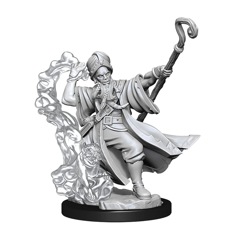 D&D Frameworks: Human Wizard Male – Unpainted and Unassembled