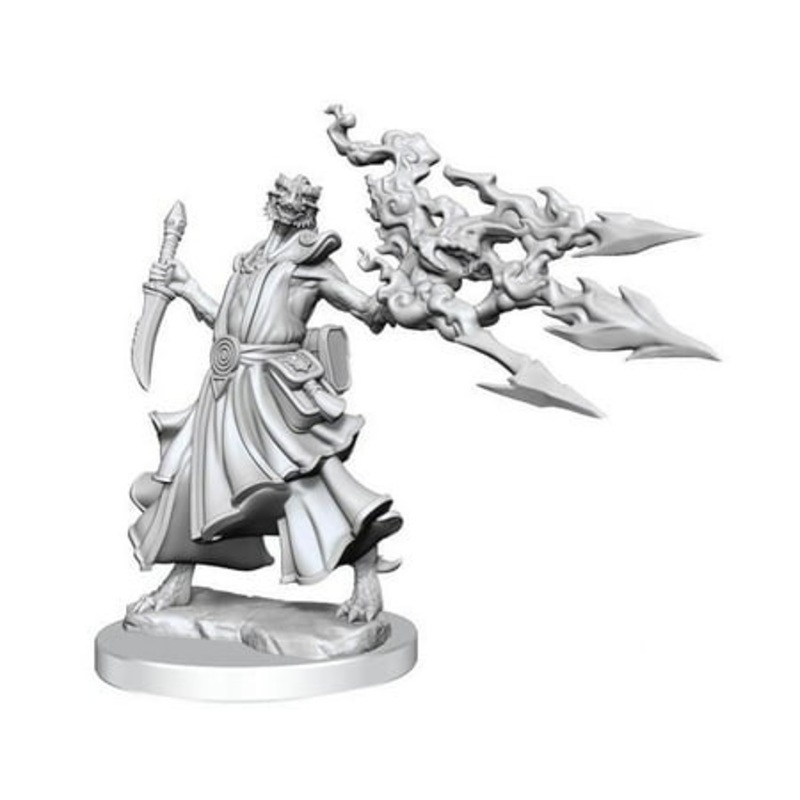 WizKids WZK75035 Female Dungeons & Dragons Frameworks Wave 1 Dragonborn Sorcerer Miniatures